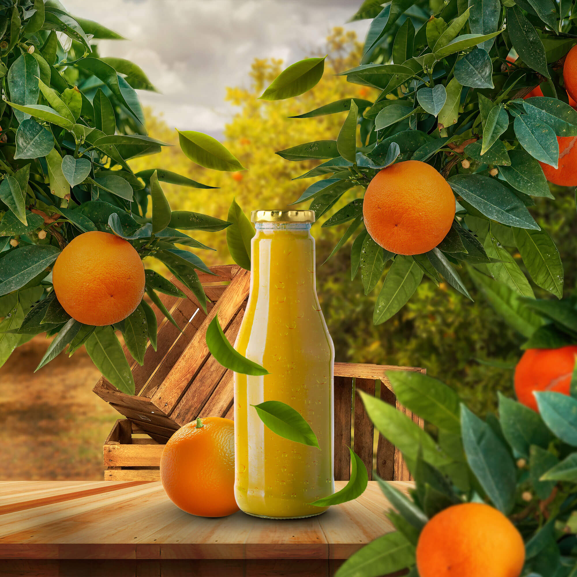 Publicité pour une marque de jus de fruit fictive